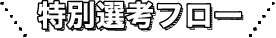 特別選考フロー